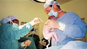 توقيف 3 نساء شكلن عصابة لإجهاض الفتيات بتيزي وزو