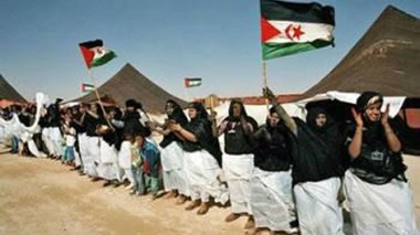 Des parlementaires dénoncent les violations des droits de l’Homme au Sahara occidental