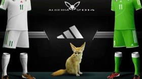 “أديداس” تتفاوض مع الفاف لترسيم العقد وتوسيع قاعدة الاستثمار في الجزائر