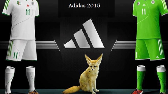 أديداس والفاف سيوفران للمناصرين زي “الخضر” قريبا