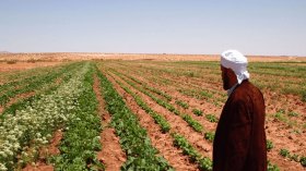 فلاحون يقطعون الطريق بأدرار احتجاجا على حرمانهم من الكهرباء