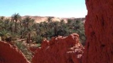 Le choix de Timimoun, capitale des Déserts du monde, est motivé par sa biodiversité exceptionnelle