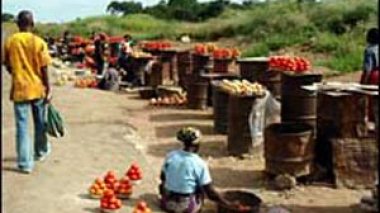 Crisis 'will cost Africa $49bn'