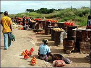 Crisis 'will cost Africa $49bn'