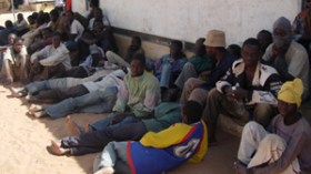 الخطر الإفريقي يعود إلى مدينة مغنية مع تزايد الاعتداءات على المواطنين