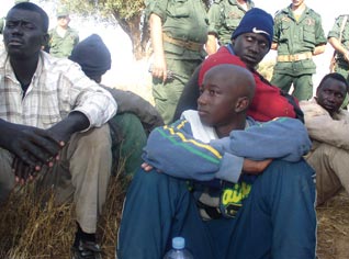 40 Africans arrested in Algeria for forgery