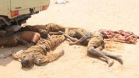 868 illegal immigrants arrested south of Algeria