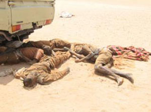 868 illegal immigrants arrested south of Algeria