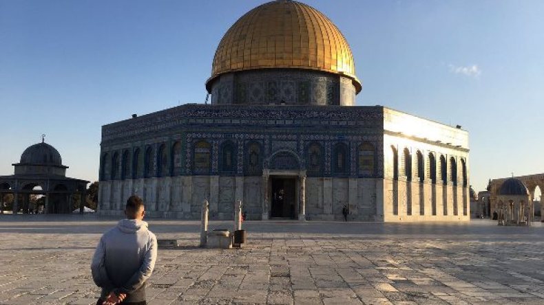 غزال “يجلد” زعماء القوى العظمى