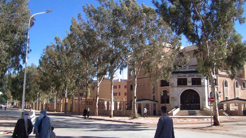 مؤسسة صينية تطرد 37 عاملا جزائريا بالأغواط