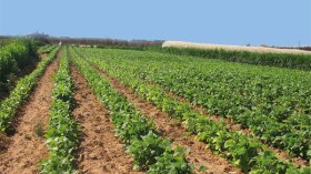 7 آلاف و852 ملف ضمن عقود الامتياز لا تزال عالقة