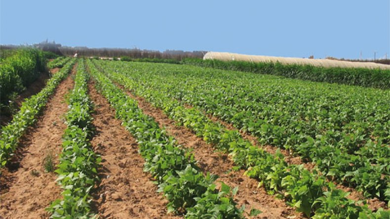 7 آلاف و852 ملف ضمن عقود الامتياز لا تزال عالقة