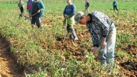 تخصيص 430 مليار دينار للتجديد الفلاحي والريفي