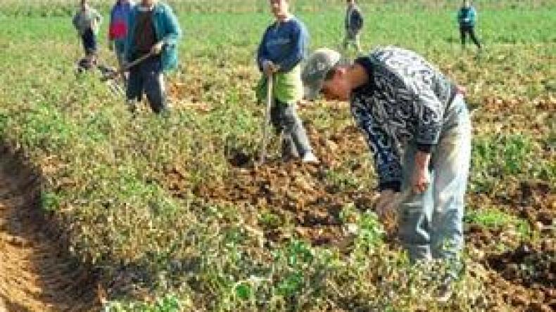 تخصيص 430 مليار دينار للتجديد الفلاحي والريفي