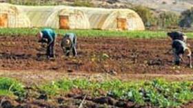 توسيع صلاحيات الغرف الفلاحية وتشديد الرقابة على أموال الدعم الفلاحي