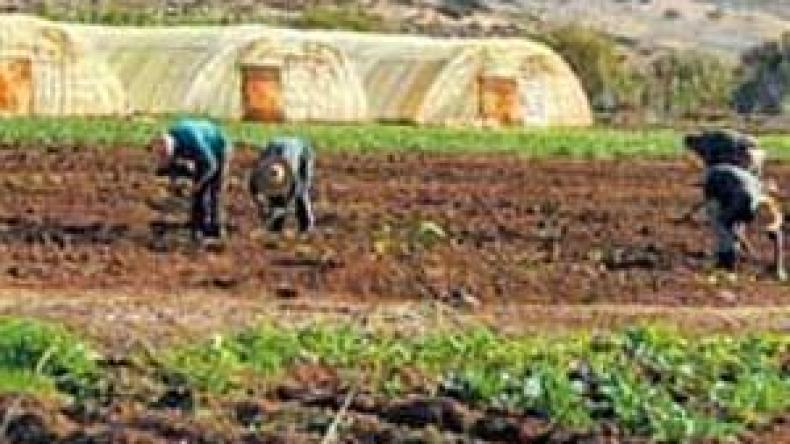 توسيع صلاحيات الغرف الفلاحية وتشديد الرقابة على أموال الدعم الفلاحي