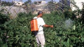 مبيدات مغشوشة تحوي مواد قاتلة تهدد سلامة الفلاحين والمستهلكين في الأسواق