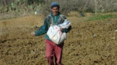 Foncier : des terres agricoles transformées en zones d’habitation