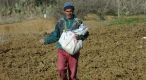 Foncier : des terres agricoles transformées en zones d’habitation