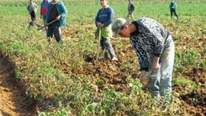 القروض‭ ‬الفلاحية‭ ‬الجديدة‭ ‬تستهدف‭ ‬5‭ ‬فئات‭ ‬شبابية‭  ‬