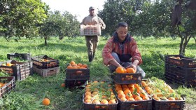 السيّد والخمّاس!