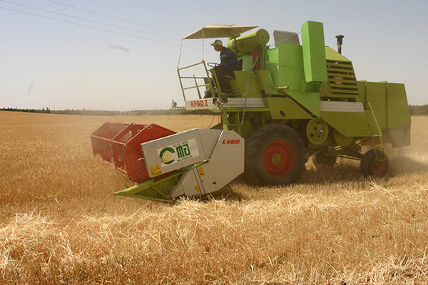 Algeria: Quarter of a million peasants excluded from drought-related compensations!