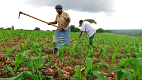 الحرام الذي يرتكبه الجزائريون!