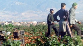 مليون مستثمرة فلاحية مهددة بالزوال