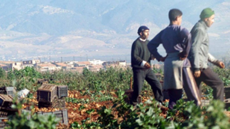 مليون مستثمرة فلاحية مهددة بالزوال