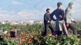 صندوق التعاون الفلاحي مطالب بتحصيل 500 مليون دينار من إدخارات الفلاحين