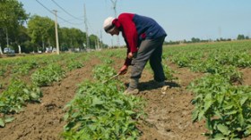 Farmersâ€™ debts to be written off as from next week