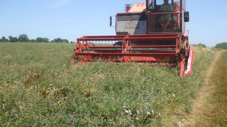 استعمال الأراضي الفلاحية لتشييد السكنات لا يكون إلا في الضرورة