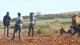 عقوبات  بفصل  وسجن  المسؤولين  المتلاعبين  بالأراضي  الفلاحية