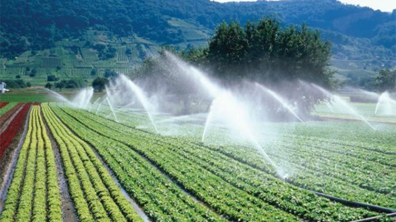 تصدير تكنولوجيا الري الفلاحي إلى الجزائر