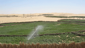 فلاحو بلدية وادي العلندة يعانون في صمت بالوادي