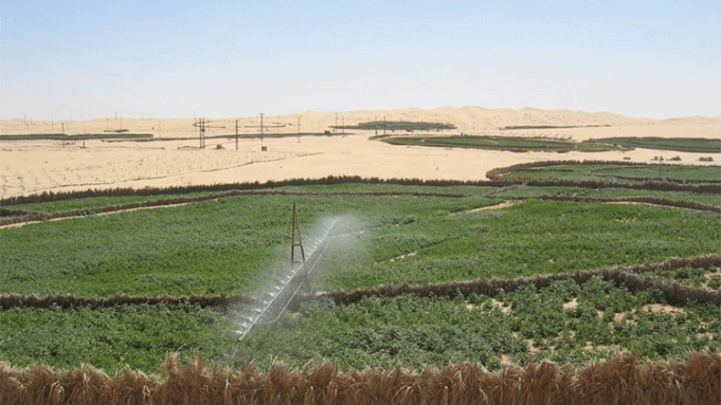 فلاحو بلدية وادي العلندة يعانون في صمت بالوادي