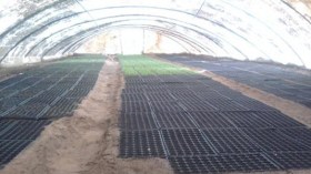 برنامج زراعي أمريكي لفائدة الجزائر