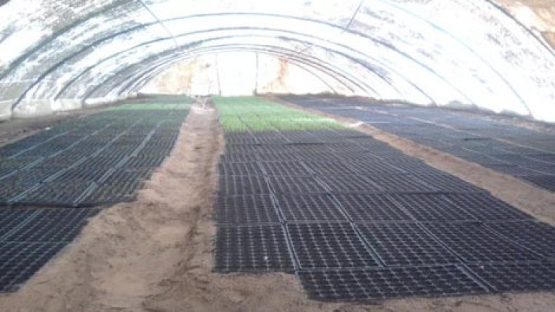 مديريات أملاك الدولة تعطل قروض الفلاحين!