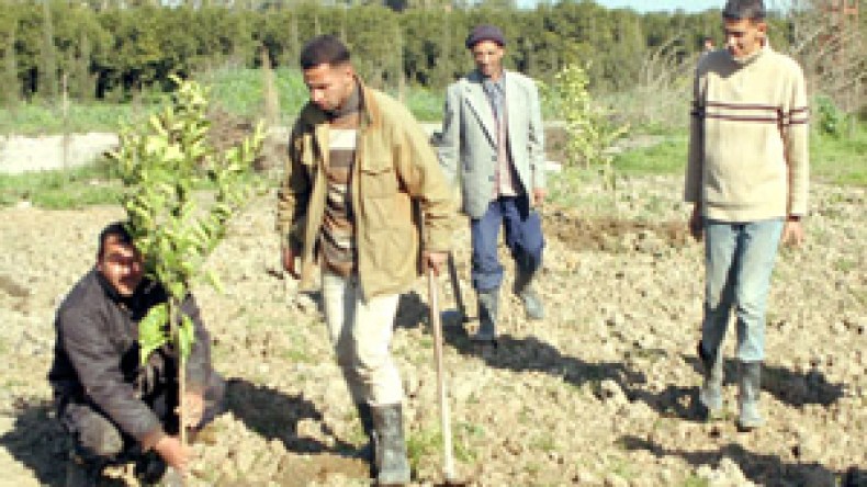 “مديريات الفلاحة استلمت 52 ألف ملف في إطار تنفيذ قانون العقار الفلاحي”