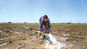 وزارة‮ ‬الفلاحة‮: ‬اطمئنوا‮.. ‬لسنا‮ ‬على‮ ‬أبواب‮ ‬القحط