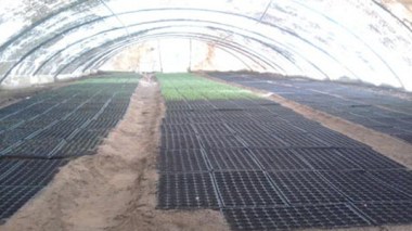 Report shows wrongdoings at Algeria agriculture ministry