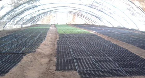 Report shows wrongdoings at Algeria agriculture ministry