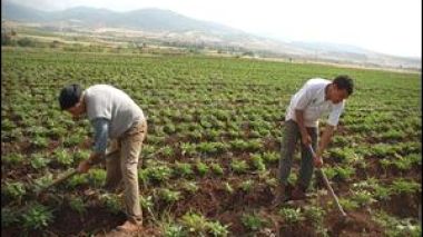State agricultural lands: 107,000 applications submitted by farmers