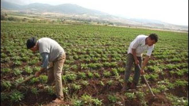 متعامل تركي يهرب آلات متطورة استوردتها الجزائر من إيطاليا