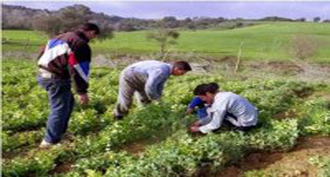 Lancement d’un programme de soutien de la BM au secteur agricole