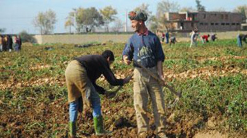 تأجير‭ ‬الأراضي‭ ‬الفلاحية‭ ‬للأجانب‭ ‬وفتح‭ ‬رأس‭ ‬مال‭ ‬لفلاحين‭ ‬جزائريين