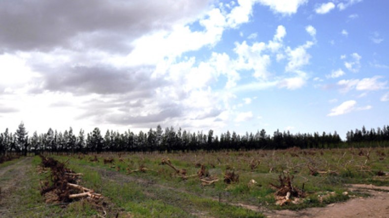 والي مستغانم يملـّك 197 هكتار بالشلف لنجل سيناتور فرنسي