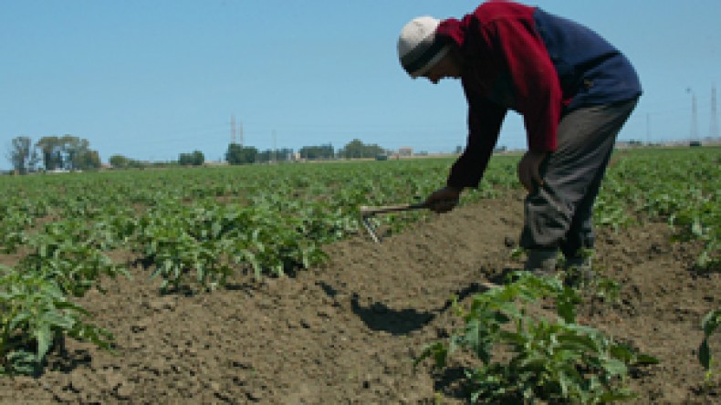 الشروع في مسح ديون الفلاحين والعملية قد تستغرق 3 أشهر