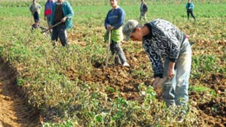 وزارة الفلاحة ترفع التجميد عن العامة للامتيازات الفلاحية