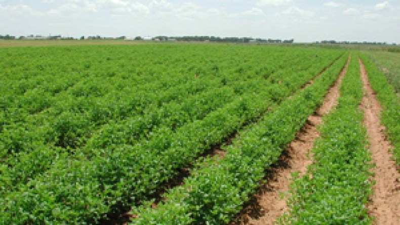 70 في المائة من الفلاحين لم يستفيدوا من مسح الديون